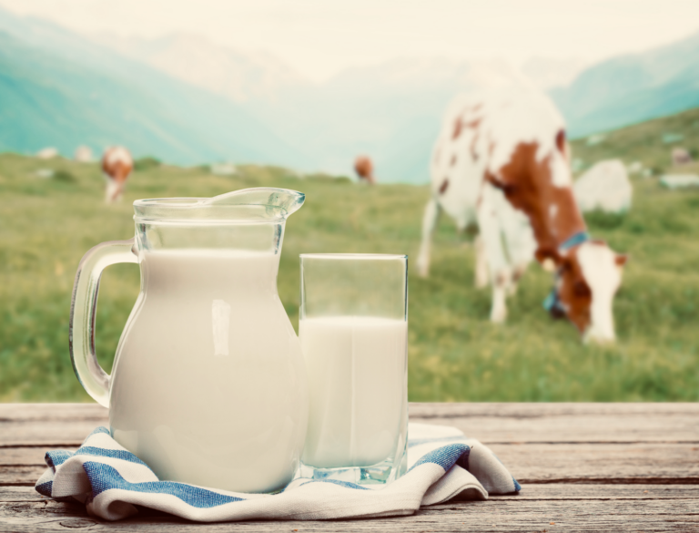 Raw Milk: 9 Facts You Never Knew