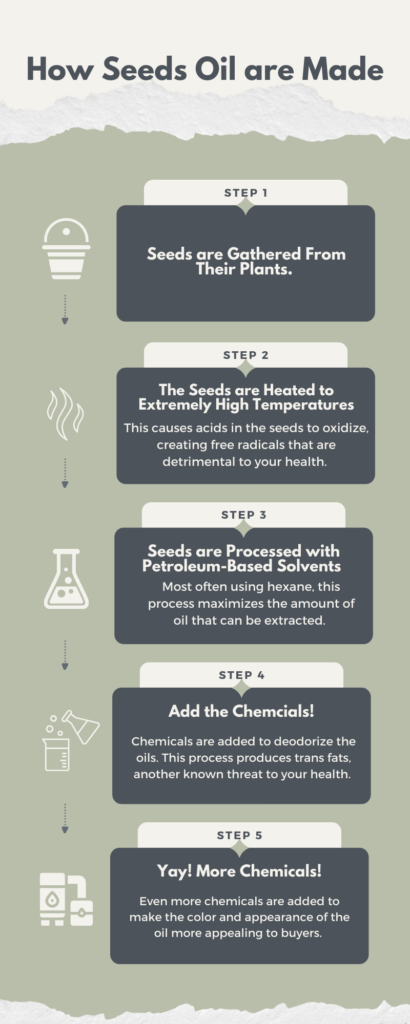 How-seed-oils-are-made