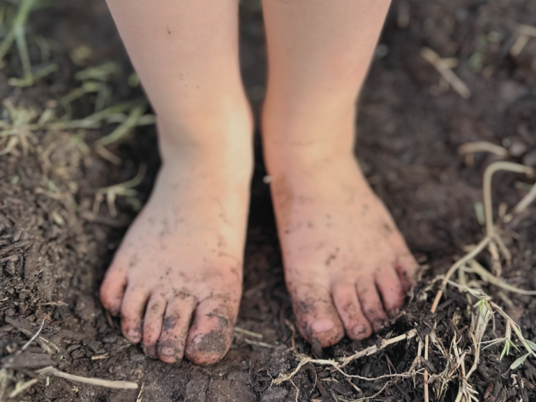 5-shocking-truths-about grounding