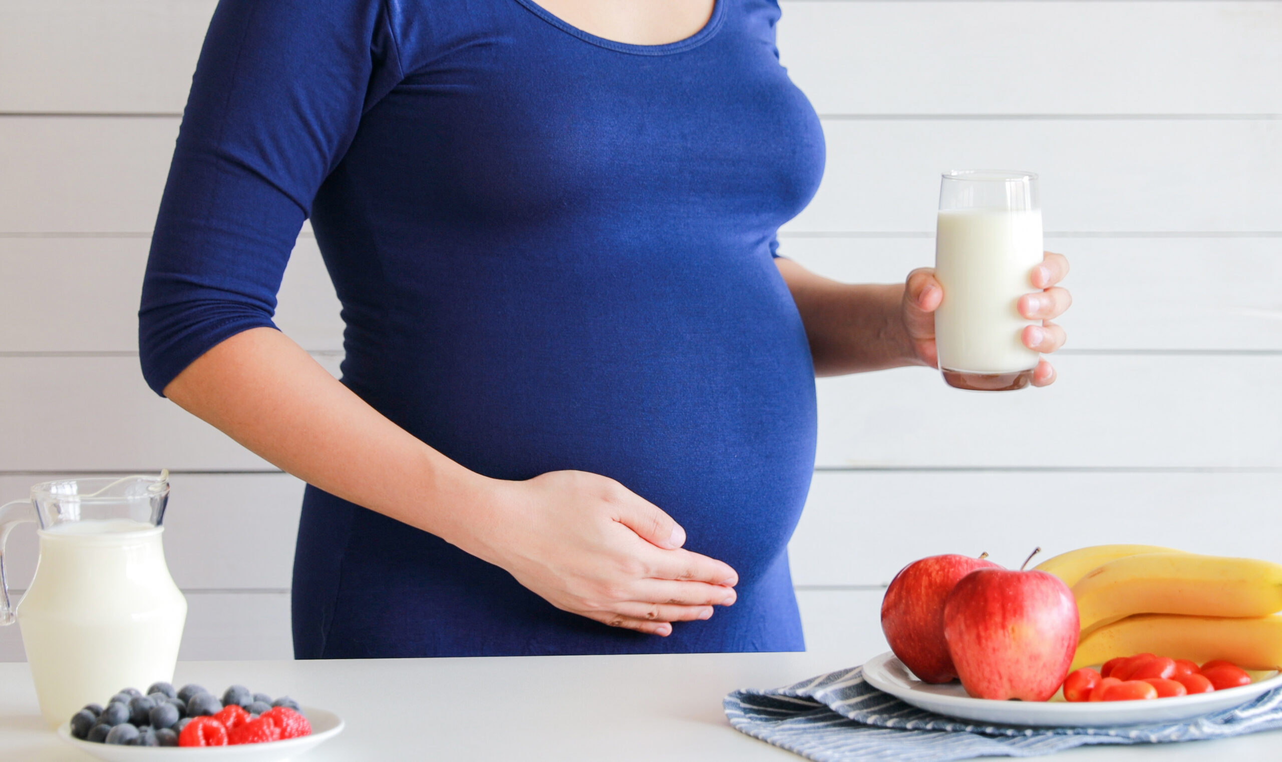 animal-based-pregnancy